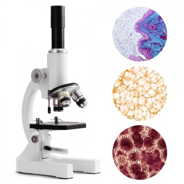 64X-2400X Monocular Optical Microscope Elementary ...